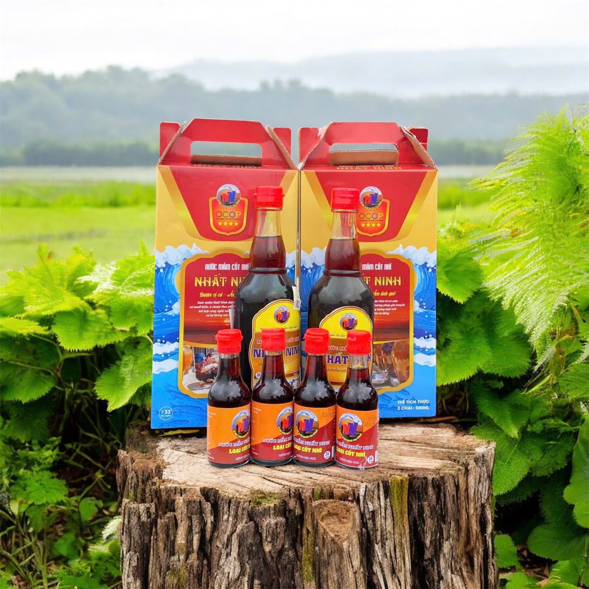 Nước mẵm nhỉ Nhất Ninh - 500ml - Hộp 2 chai